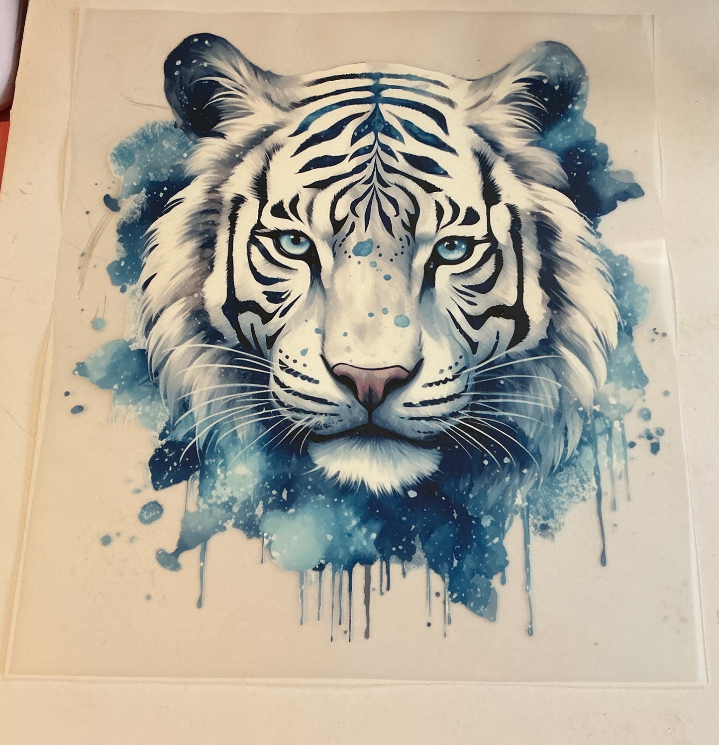 White & Blue Tiger